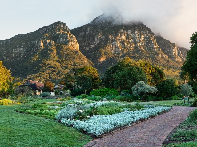 Visitors To Kirstenbosch Gardens Are Saying It Needs Some Serious TLC #Tlc